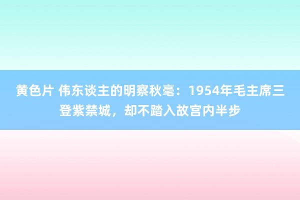 黄色片 伟东谈主的明察秋毫：1954年毛主席三登紫禁城，却不踏入故宫内半步