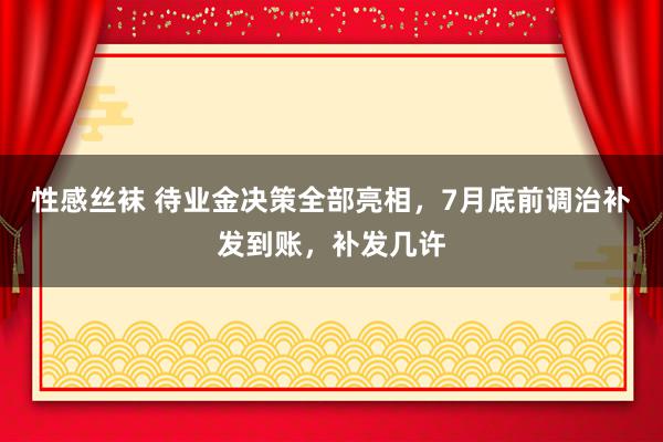 性感丝袜 待业金决策全部亮相，7月底前调治补发到账，补发几许