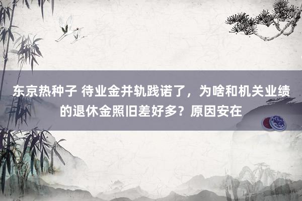 东京热种子 待业金并轨践诺了，为啥和机关业绩的退休金照旧差好多？原因安在