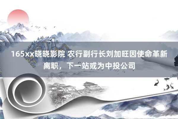 165xx晓晓影院 农行副行长刘加旺因使命革新离职，下一站或为中投公司