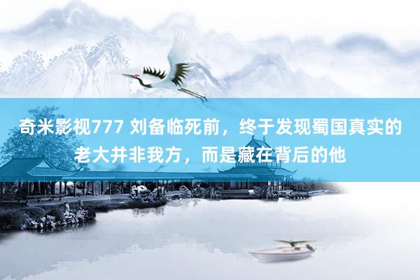 奇米影视777 刘备临死前，终于发现蜀国真实的老大并非我方，而是藏在背后的他