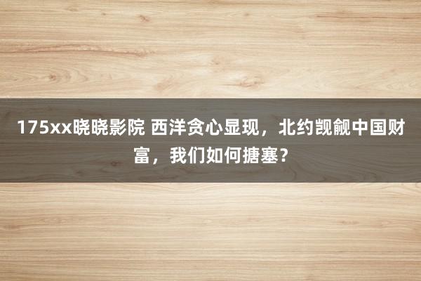 175xx晓晓影院 西洋贪心显现，北约觊觎中国财富，我们如何搪塞？