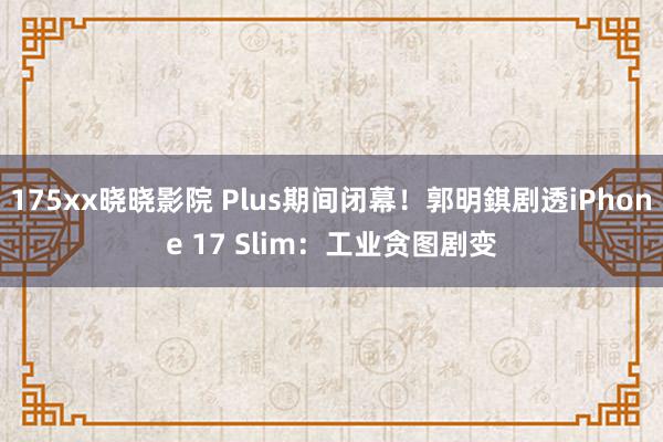 175xx晓晓影院 Plus期间闭幕！郭明錤剧透iPhone 17 Slim：工业贪图剧变