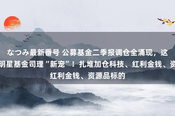 なつみ最新番号 公募基金二季报调仓全涌现，这些公司成明星基金司理“新宠”！扎堆加仓科技、红利金钱、资源品标的