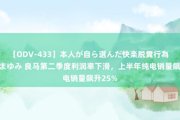 【ODV-433】本人が自ら選んだ快楽脱糞行為 1 神崎まゆみ 良马第二季度利润率下滑，上半年纯电销量飙升25%