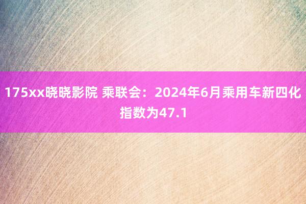 175xx晓晓影院 乘联会：2024年6月乘用车新四化指数为47.1