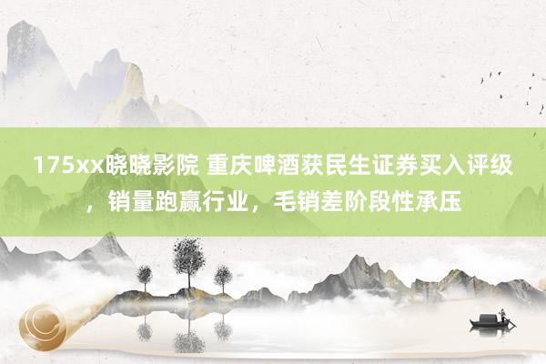 175xx晓晓影院 重庆啤酒获民生证券买入评级，销量跑赢行业，毛销差阶段性承压