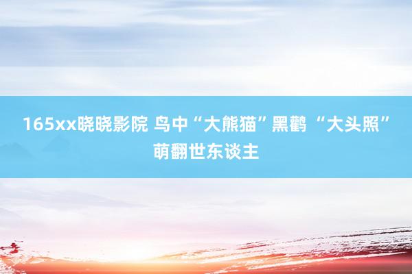 165xx晓晓影院 鸟中“大熊猫”黑鹳 “大头照”萌翻世东谈主