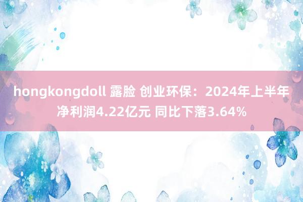 hongkongdoll 露脸 创业环保：2024年上半年净利润4.22亿元 同比下落3.64%