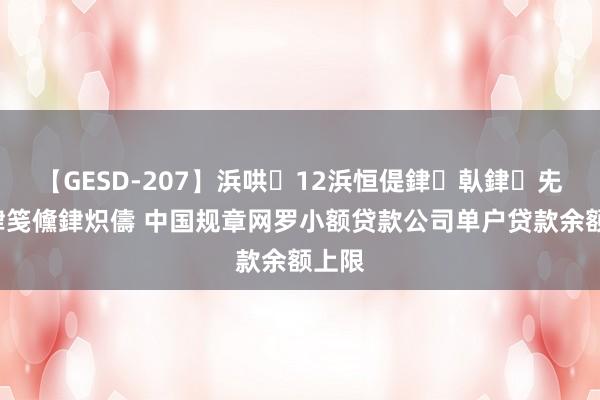 【GESD-207】浜哄12浜恒偍銉倝銉兂銉€銉笺儵銉炽儔 中国规章网罗小额贷款公司单户贷款余额上限